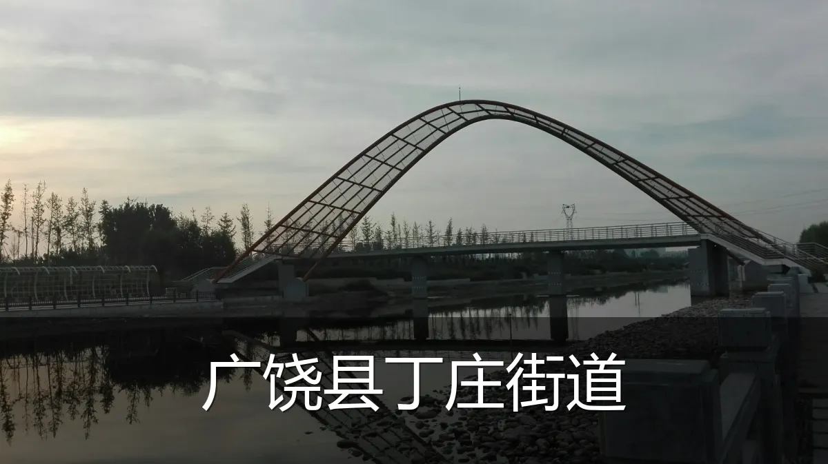 广饶县丁庄街道