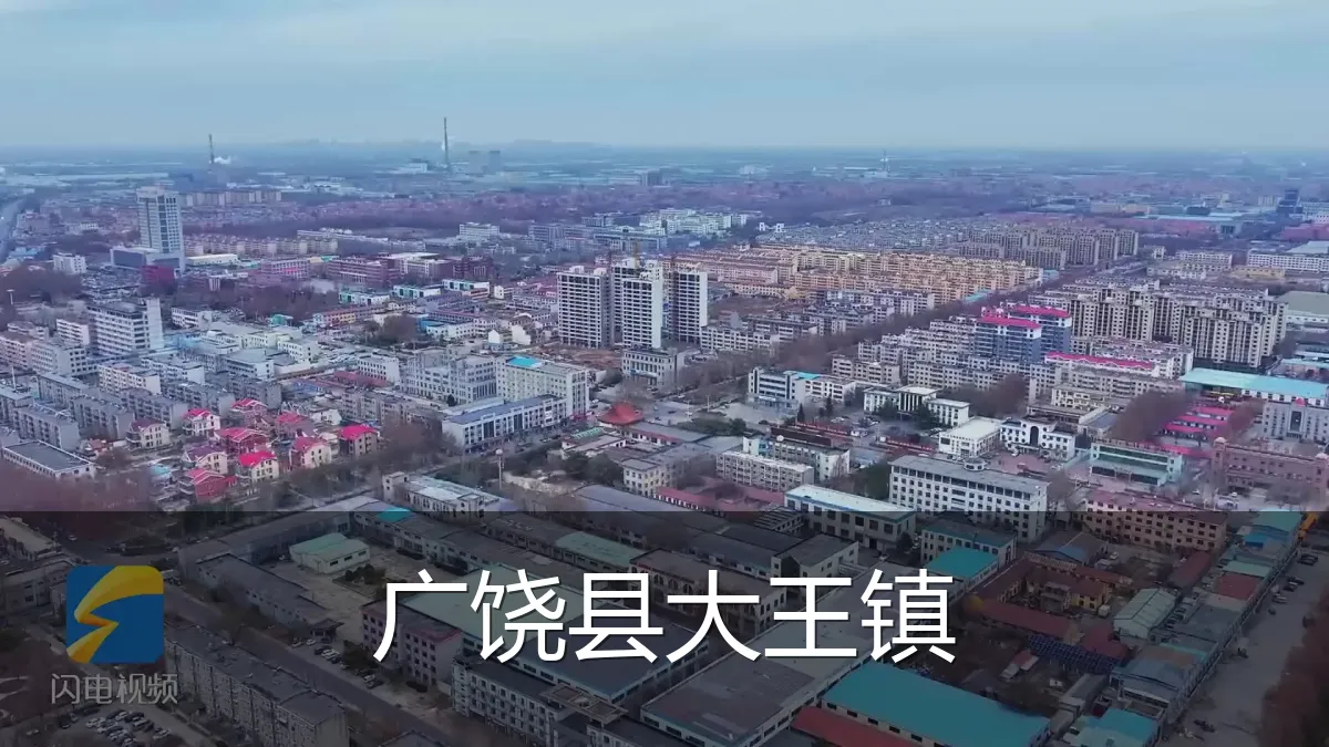 广饶县大王镇